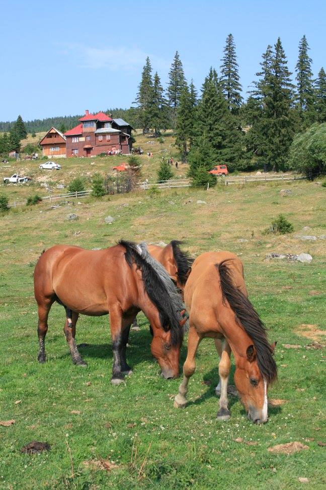 dintorni di cluj