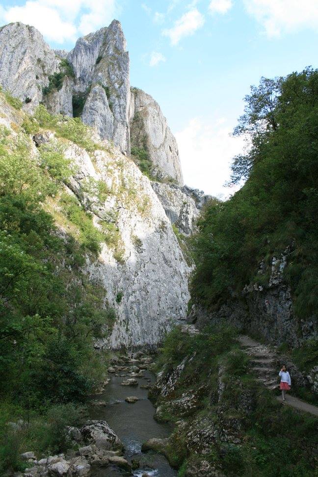 dintorni di cluj