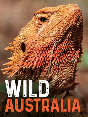 wild australia raiplay documentari