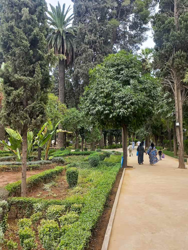 Cose da fare a Fes: viale alberato nei giardini di Jnan Sbil