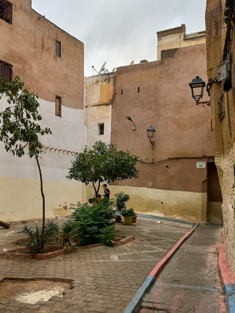 Piazzetta con un paio di piante